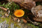 IMG_9195