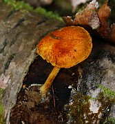 IMG_9197