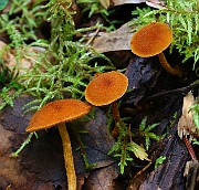 IMG_9198