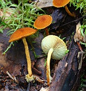 IMG_9201