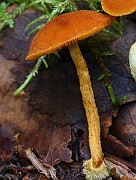 IMG_9205