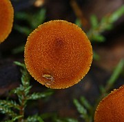 IMG_9211