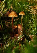 IMG_0167