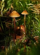 IMG_0168