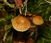 IMG_0169