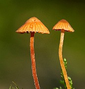 IMG_0171