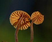 IMG_0175