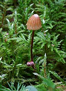 IMG_0820