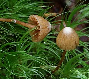 IMG_0825
