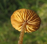 IMG_8620