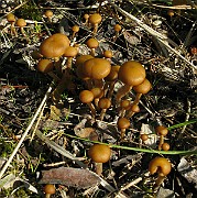 IMG_5641
