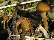 IMG_5643