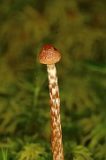 IMG_1157