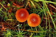 IMG_1160