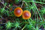 IMG_1161