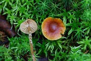 IMG_1163