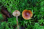 IMG_1164