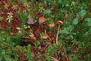 IMG_1824