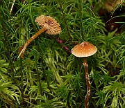 IMG_3845