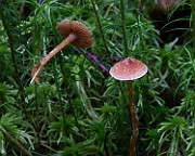 IMG_3846