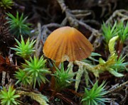 IMG_5863