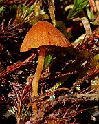 IMG_5870