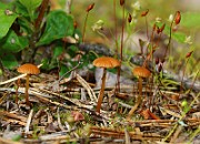 IMG_9933