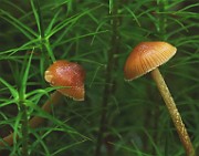 IMG_6149