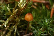IMG_0976