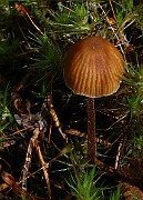 IMG_9231