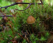 IMG_9232