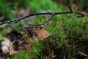 IMG_9237
