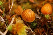 IMG_0505