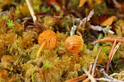 IMG_0509