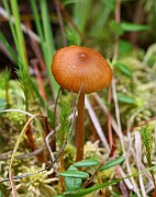 IMG_1811
