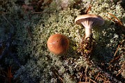 IMG_1228