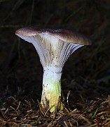 IMG_6240