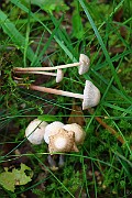IMG_1902