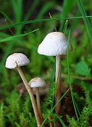 IMG_1906