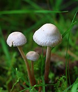IMG_1908