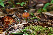 IMG_0186