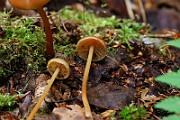 IMG_0187