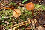 IMG_0190