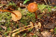 IMG_0191