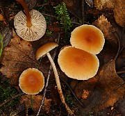 IMG_0195
