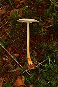 IMG_0231