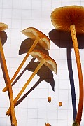 IMG_0297
