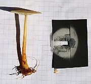 IMG_0316