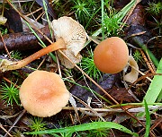 IMG_0519