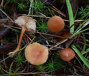 IMG_0523